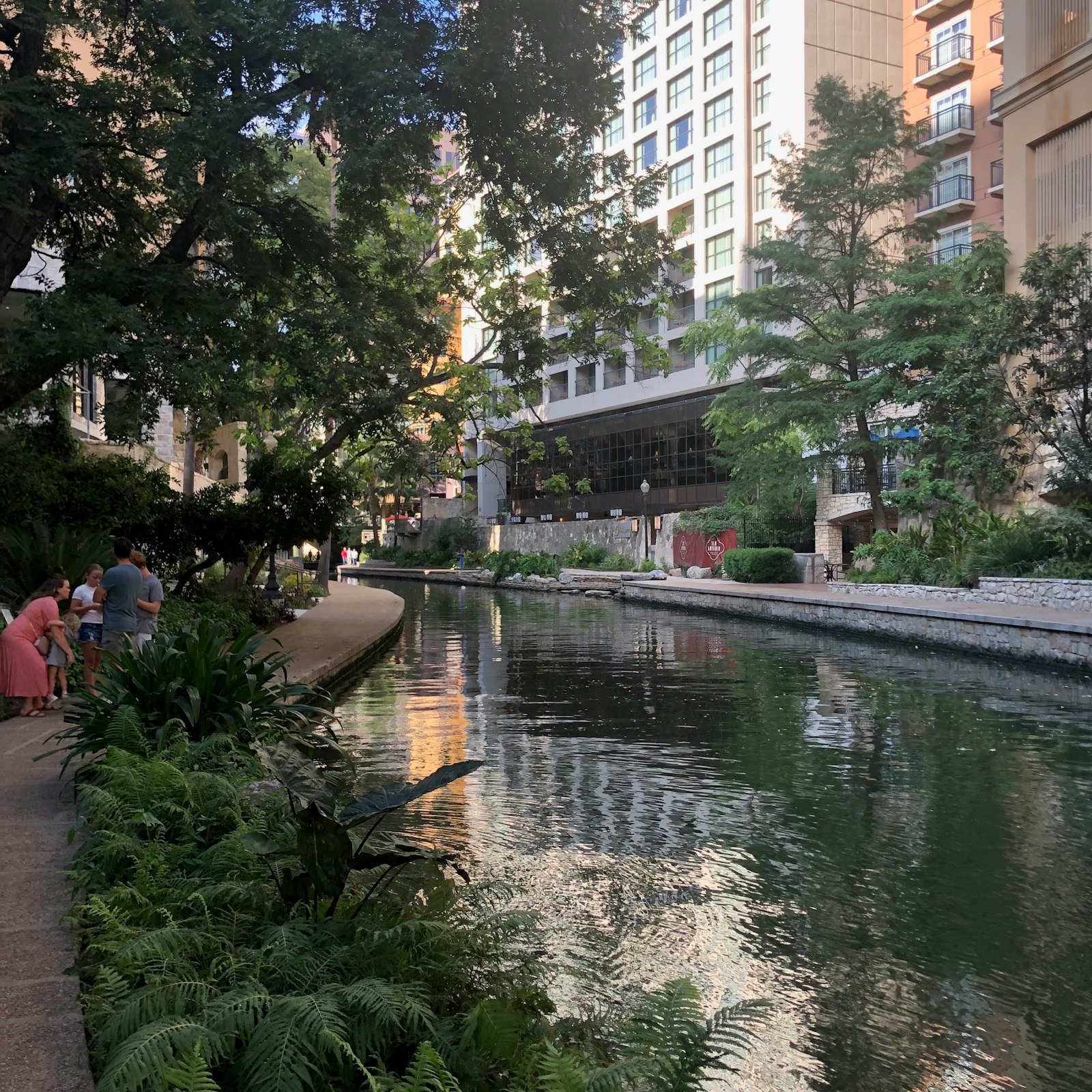 Museum Reach, late afternoon